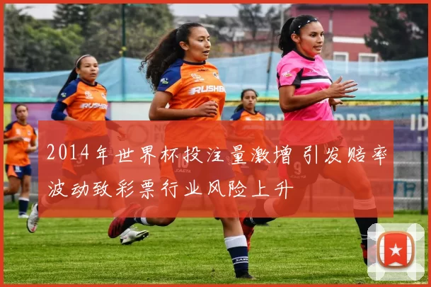 2014年世界杯投注量激增 引发赔率波动致彩票行业风险上升