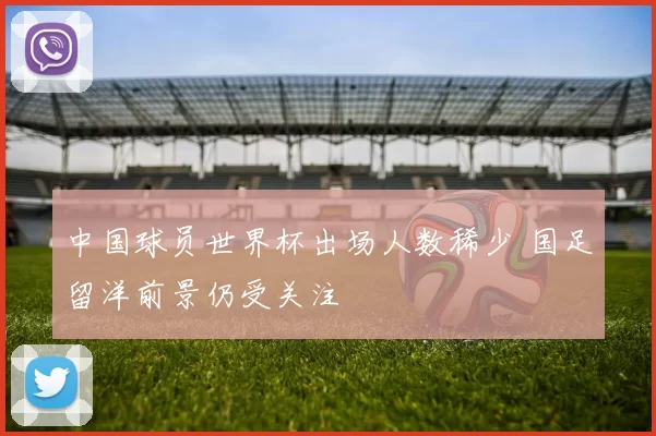 中国球员世界杯出场人数稀少 国足留洋前景仍受关注