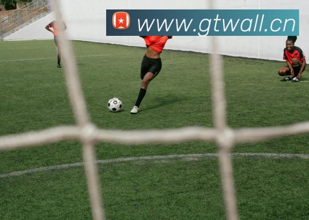 leyu乐鱼·官方web站登录入口 - 乐鱼(中国)平台生态图